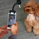 thumbnail image 3 of Dog Selfie Stick Portable Pet Selfie Stick Dog Cat Photographing Photography Toy Mobile Phone Accessories For Your Pet At Any Timeblack1pcs) Banmo, 3 of 5