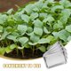 thumbnail image 3 of unbranded Para Plantas De Inoxidable Con Capacidad Para Propagación De, 3 of 8