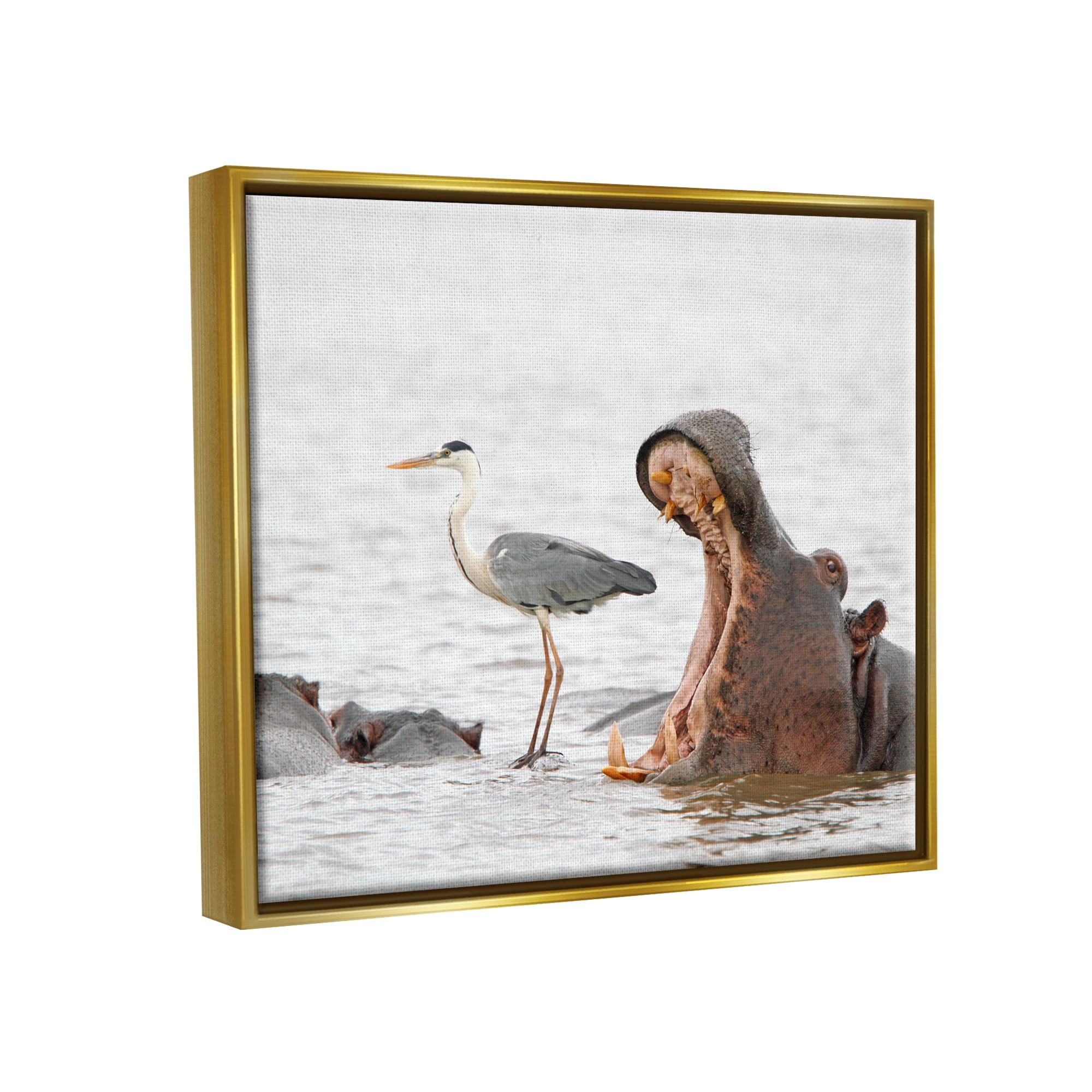 Stupell Industries Hippo & Heron Photography Animals & Insects Photography Gold Floater Framed Canvas Art Print Wall Art, 21 x 17