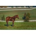 thumbnail image 2 of Galloimages Online 18x13 Gold Ornate Wood Framed with Double Matting Museum Art Print Titled - Out Standing In His Field (Oil Paint), 2 of 4