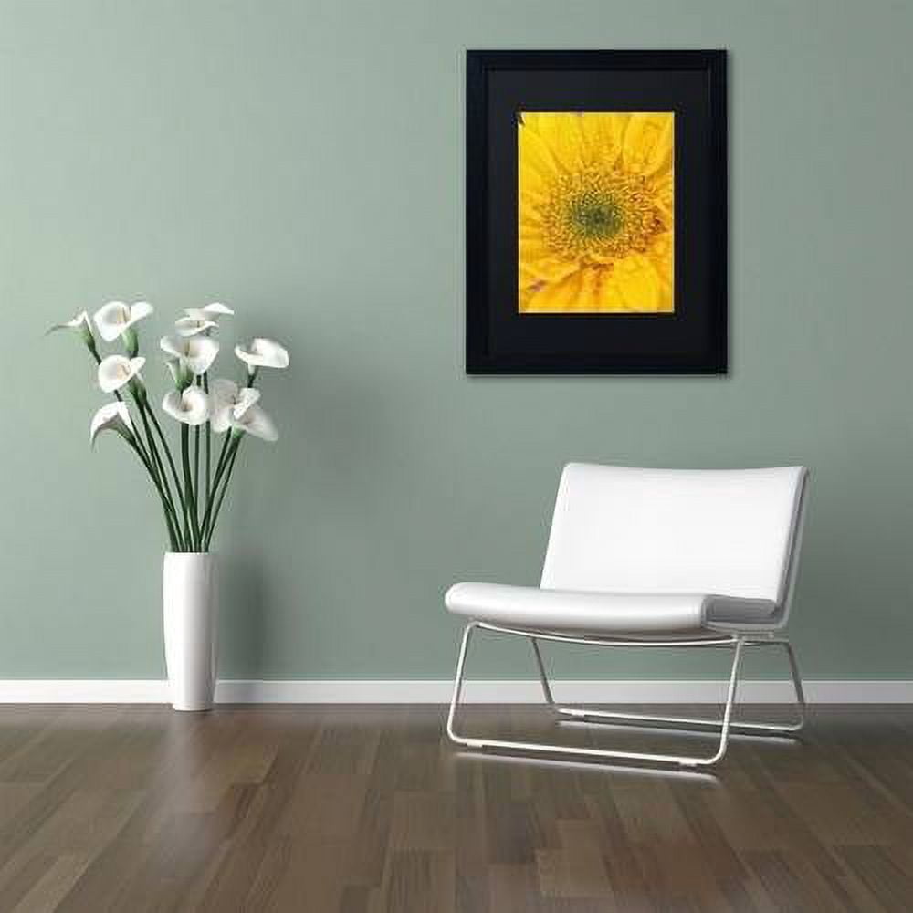 Trademark Fine Art 'Joyful Color' Canvas Art by PIPA Fine Art, Black Matte, Black Frame
