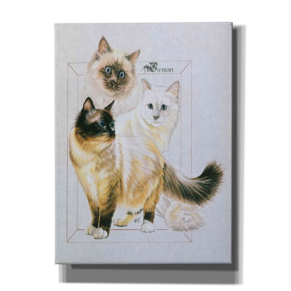 Epic Graffiti 'Birman' by Barbara Keith, Canvas Wall Art, 40"x54"