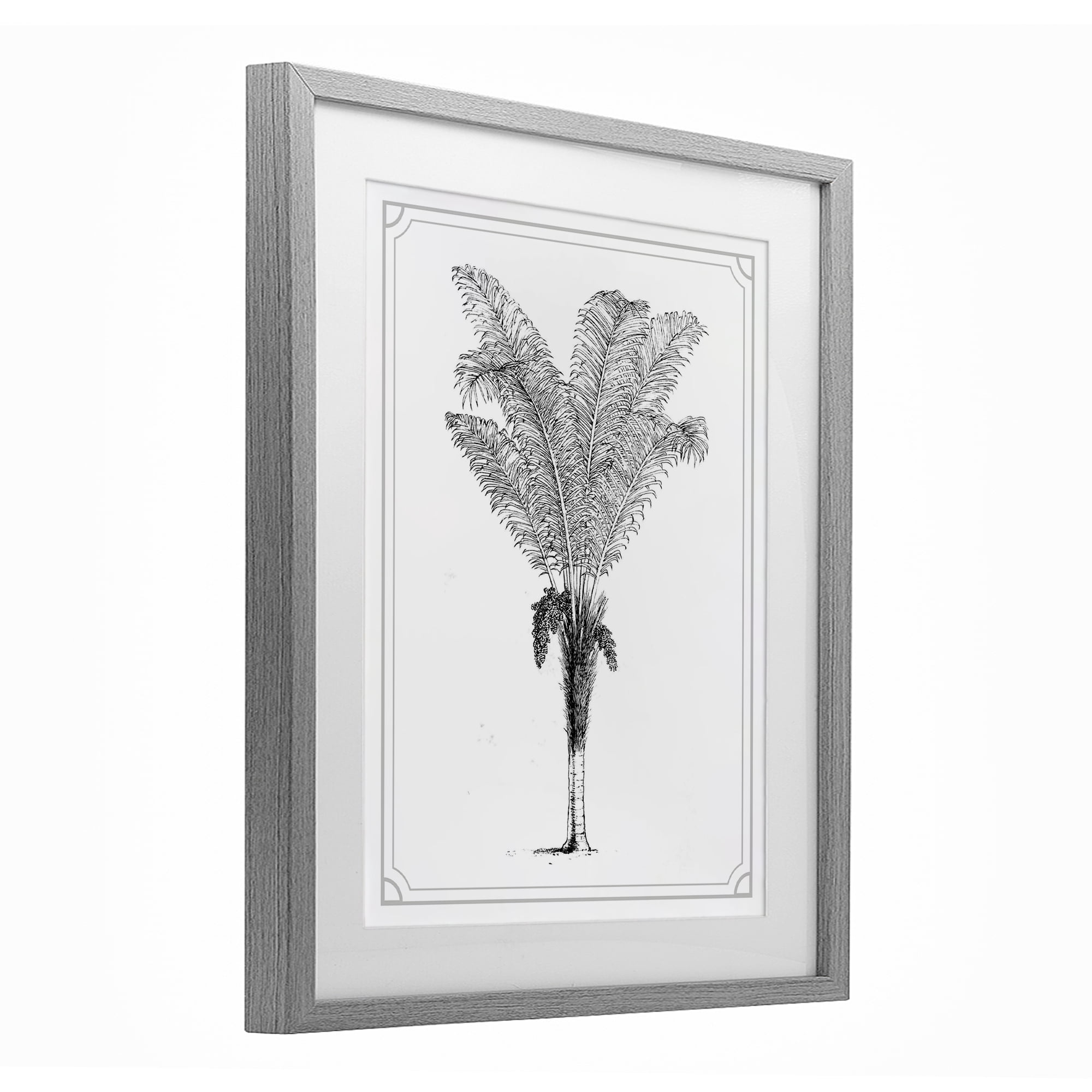 Vintage & Minimal Palm Gray Framed Print Under Glass, design by Lettered and Lined