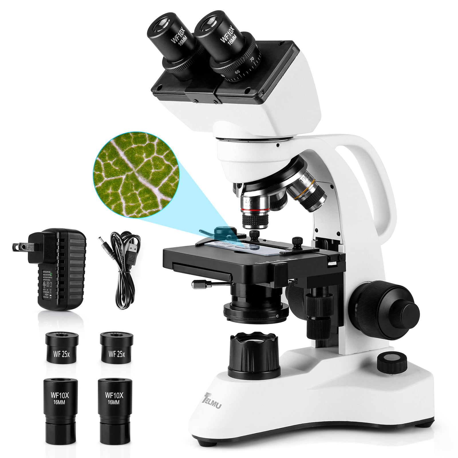 Jentsch Binocular Head 40X-1000X LED Lab Compound Binocular Microscope for Adults/Students Abbe Condenser TELMU Binocular Microscope w/Two-Layer Mechanical Stage 