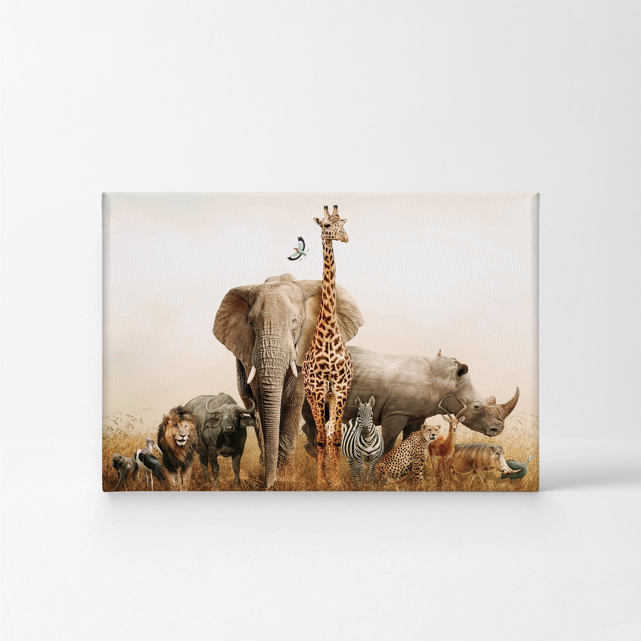 WILD AFRICAN LION CANVAS PICTURES WALL ART PRINTS NATURE PHOTO ANIMAL PRINTING