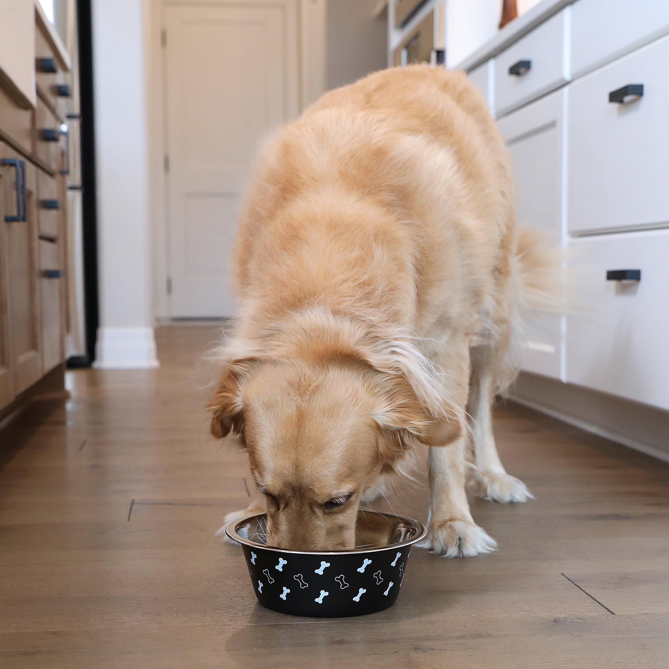 (3 pack) Vibrant Life Large Stainless Steel Dog Bowl, 48 fl oz, Black with Bones