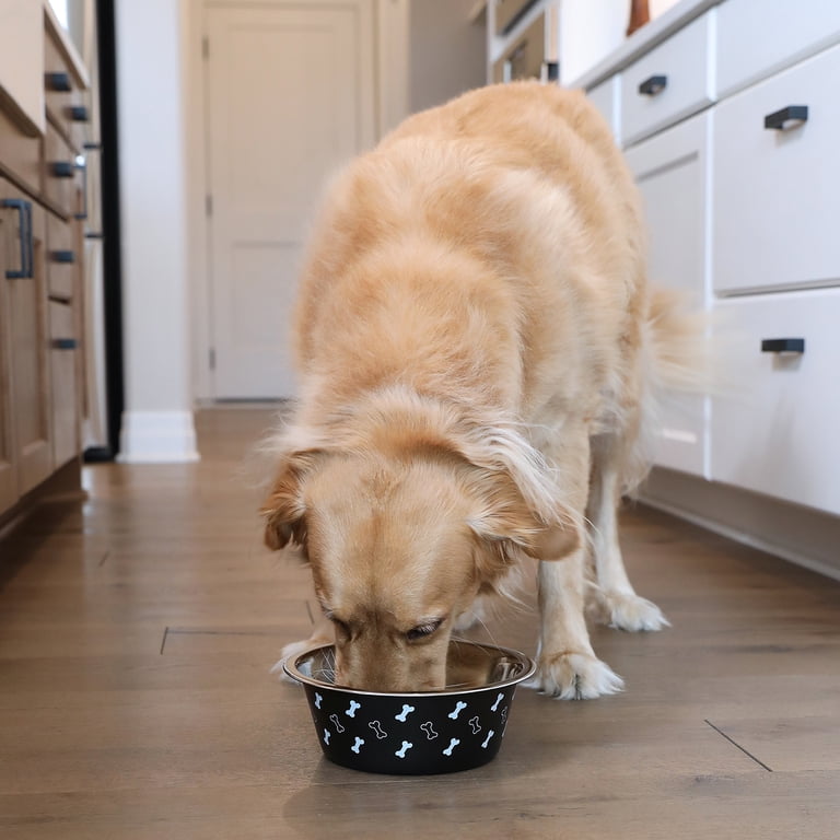 Vibrant Life Large Stainless Steel Dog Bowl, 48 oz photo 2