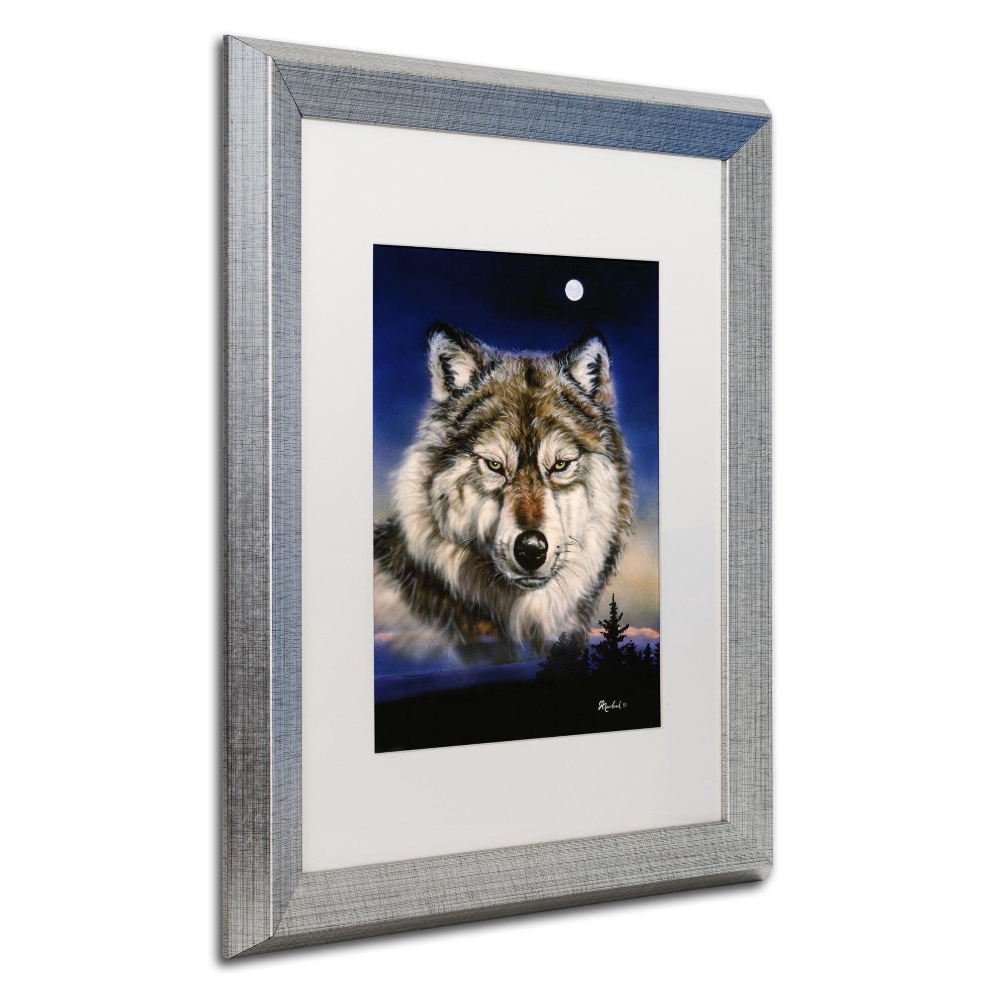 Trademark Fine Art 'Endangered' Canvas Art by Jenny Newland, White Matte, Silver Frame