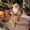 B, variant on Christmas Decor,Christmas Decorations Indoor,Christmas Tabletop Decor,Christmas Standing Santa Claus Figurine Hand Crafted Red Coat Santa Figure Doll for Home Office Table(D 12IN)
