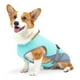 thumbnail image 1 of Chaleco Para Perros: Chaqueta De Verano Para Mascotas Con Tecnología 3Chill Tec™. Transpirable Y Ajustable (4 Tallas: S, Xl)., 1 of 3