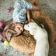 thumbnail image 5 of Peaceful Pooch | Cama Perro Anti-estrés y Ortopédica Mediana | Pelo Largo, Borde Elevado, Lavable y Antideslizante | Confort Premium para Mascotas, 5 of 6