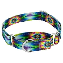 Country Brook Petz® Tie Dye Flowers Reflective Martingale Dog Collar, Medium