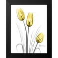 thumbnail image 2 of Koetsier, Albert 12x14 Black Modern Framed Museum Art Print Titled - Illuminating Tulip Trio, 2 of 5