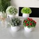 thumbnail image 3 of Mini planta de césped artificial decorativa con maceta blanca, plantas falsas for decoración del hogar, plantas artificiales en maceta, 3 of 3