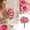 A006- f, variant on Artificial Flower Bouquet with 5 Large Persian Roses and 4 Buds, 12.6 Inch, Pink and Hot Pink, for Wedding Table Decor