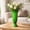 Green, variant on Japceit Rippled Vase, Floral Decor Tabletop Vase, Bedroom Home Flower Arrangement, Roman Style Ribbed Glass Vase, Modern Centerpiece