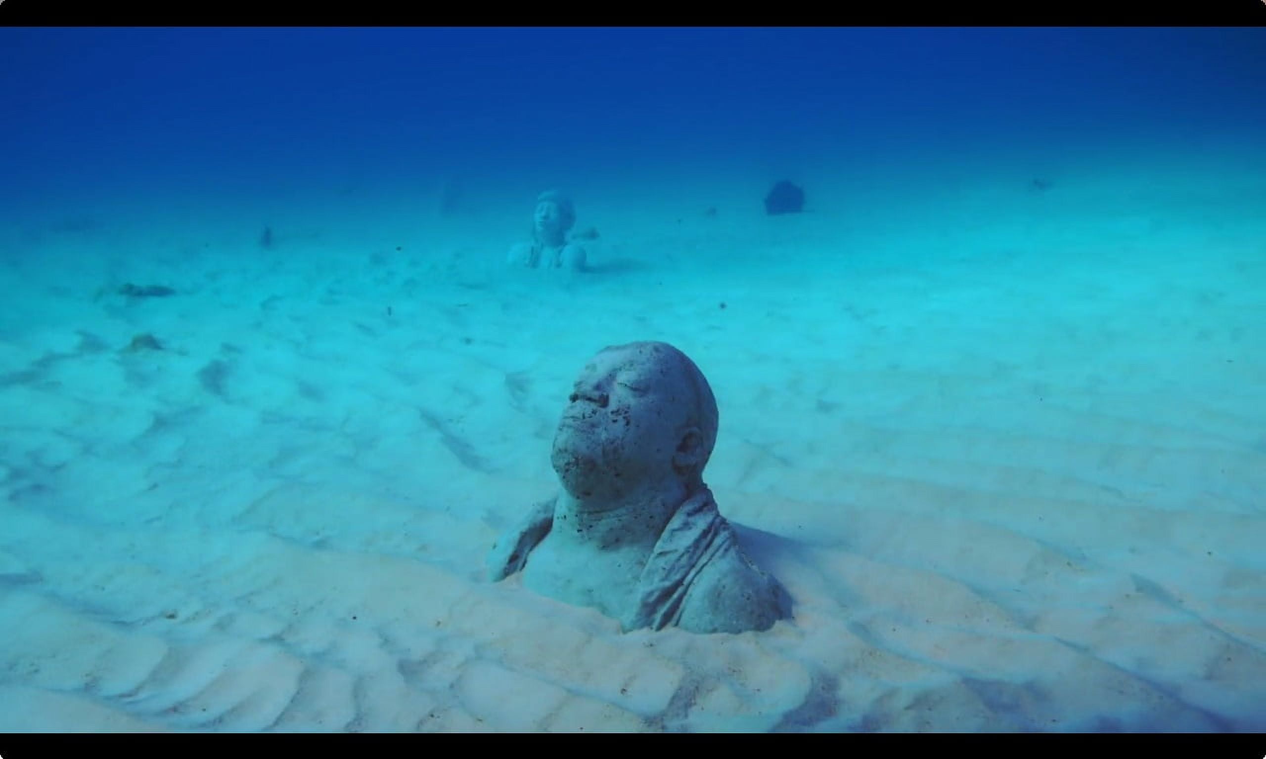 Imax: The Last Reef: Cities Beneath the Sea (4K Ultra HD + Blu-ray +  Digital Copy)