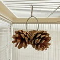 thumbnail image 6 of Vacemry Under $5 Parrot Chew Toy, Natural Pinecone Hanging Bird Toy for Small Medium Birds, Pet Enrichment Activity, Beak Trimming, Cage Accessory, Safe Wood Material, Long Lasting Fun, 6 of 9
