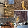 thumbnail image 6 of Cork Terrarium Background 11.8x7.9in 6PCS Natural Reptile Cork Bark Flats Terrarium Board Bearded Dragon Climbing Wall Mat Tank Decor for Lizard Chamelon Snake Turtle Spider Crested Gecko, 6 of 8
