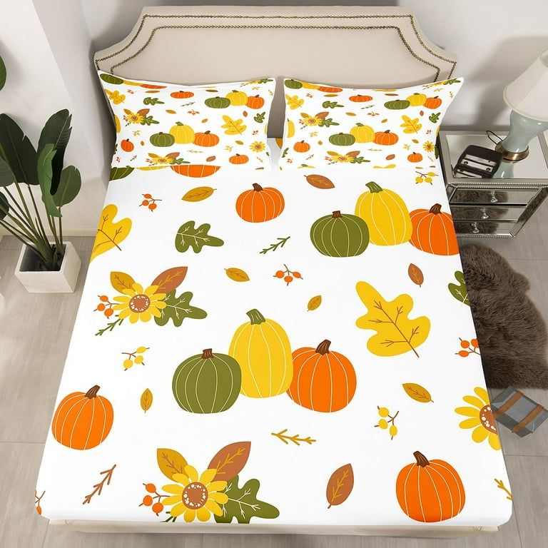 Autumn Succulent Pumpkin Set Autumn Succulent Pumpkin Set
