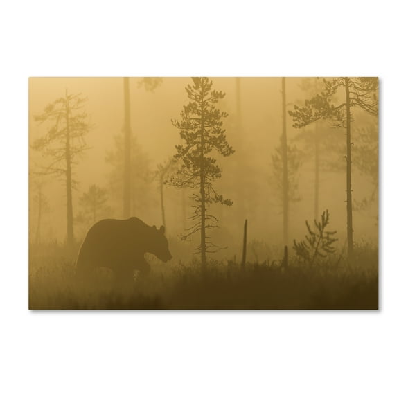 Trademark Fine Art 'Morning Fog' Canvas Art by Svein Ove Linde