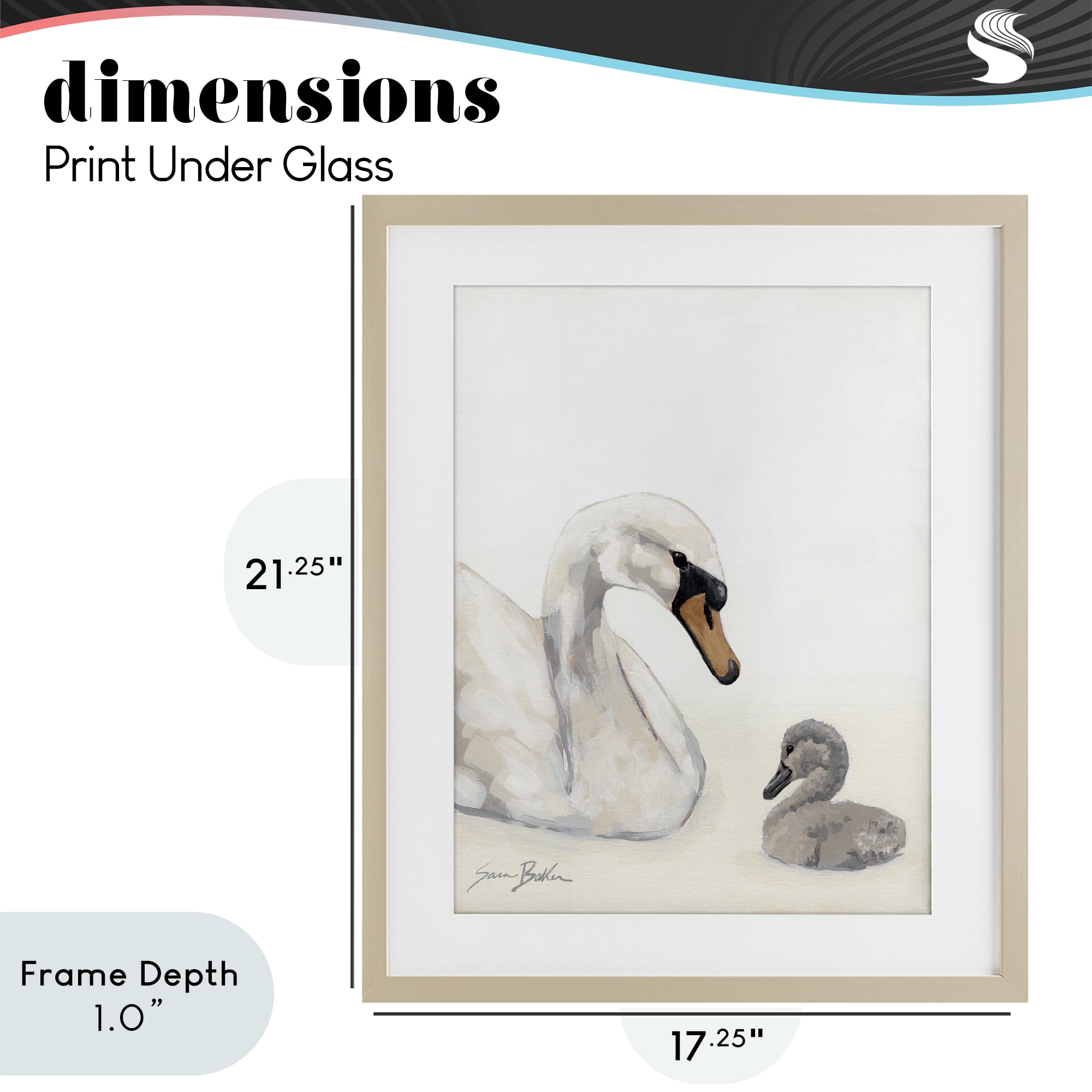 Stupell Industries Mother Swan & Cygnet Birch Framed Print Under Glass, design by Sara Baker