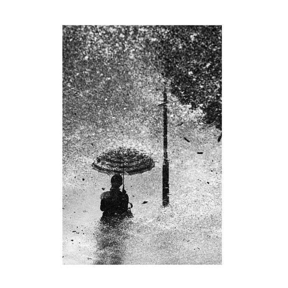 Trademark Fine Art Kentaro Watanabe Ground Canvas Wall Art