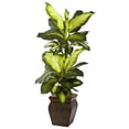 thumbnail image 3 of Nearly Natural Golden Dieffenbachia Artificial Plant with Planter - 45", 3 of 5