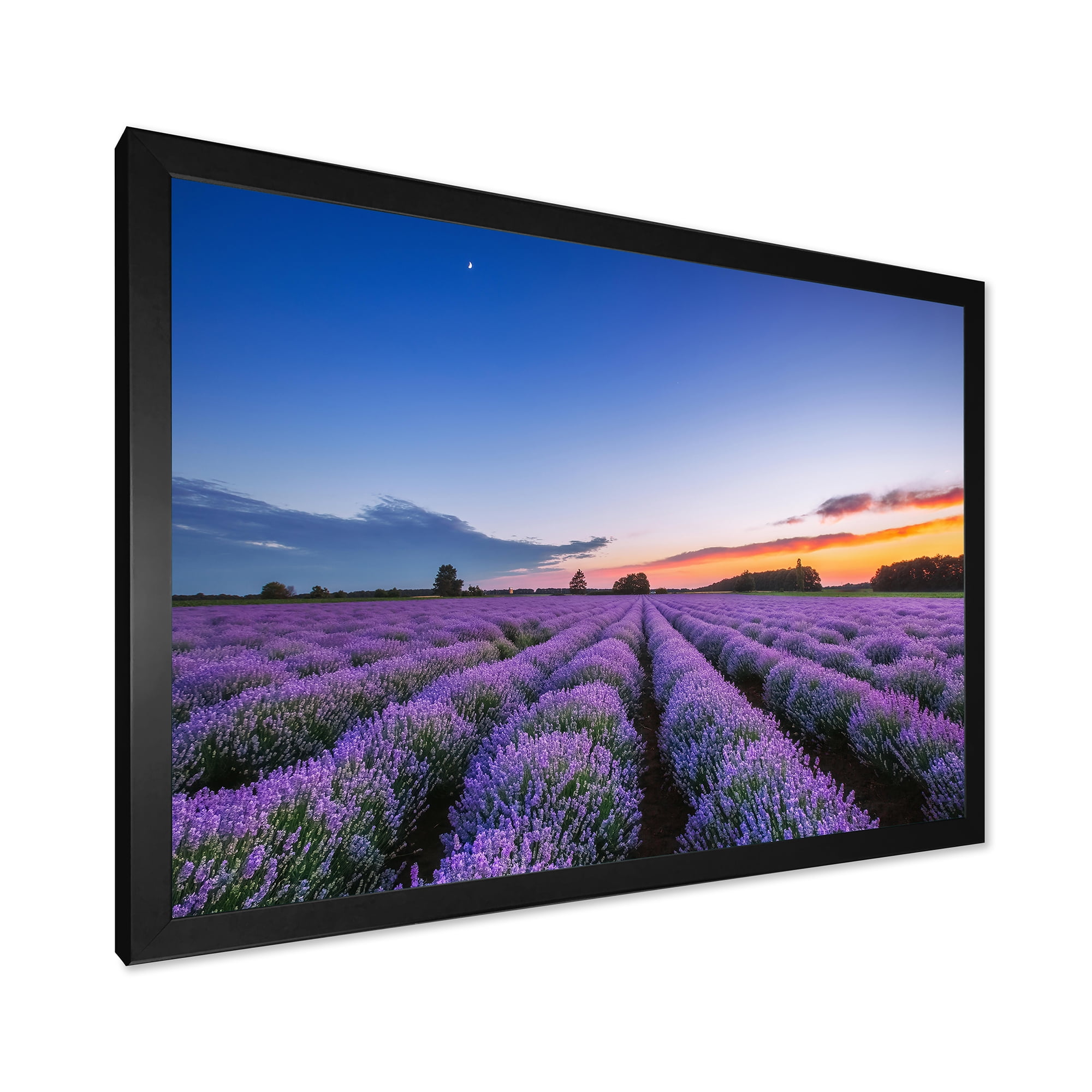 Designart 'Dramatic Clouds and Sunrise Over Lavender Field I' Farmhouse Framed Art Print