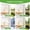 Clear,B, variant on Small Outdoor Bird Feeder with Rain Cover Roof & Bottom Drain Hole, Windproof Hanging Bird Feeder for Garden, Yard, Patio, Backyard, Balcony & Wild Bird Feeding