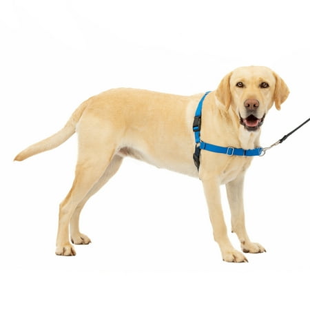 UPC: 0759023067704 | PetSafe Easy Walk No-Pull Leash Training Dog Harness  Large  Royal Blue