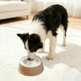 thumbnail image 3 of Slow Feed Water Dispensing Bowl for Messy Drinkers Floating Design Promotes Hydration for Puppies Cats and Dogs During Home Travel or Crate, 3 of 4