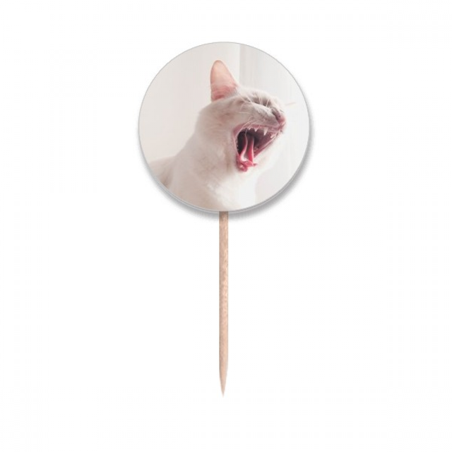Animal White Fierce Cat Photograph Toothpick Flags Round Labels Party Decoration