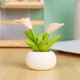 thumbnail image 5 of Planta en maceta de resina de simulación de cactus | Mini adorno de suculentas artificiales para decoración del hogar, escritorio, automóvil, regalo | Morado con bufanda | Lindo diseño pequeño y, 5 of 6