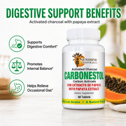 Sunshine Naturals Carbonestol Activated Charcoal with Papaya Extract Tablets, 60 Tablets, 1 Pack