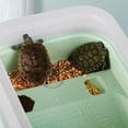thumbnail image 3 of OULII Basking Platforms for Turtles Turtle Holder Mint Green 1Set, 3 of 8