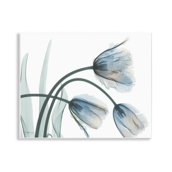 Stupell Industries Trendy Mod Tulips Floral Photography Unframed Art Print Wall Art, 14 x 11