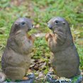 thumbnail image 4 of Adorable Marmot Ornament Micro Landscape Resin Animal Craft Creative Bonsai Decor, 4 of 6