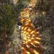 thumbnail image 1 of paquete de luces solares para caminos, luces solares para jardín al aire libre para Patio, camino de entrada, 1 of 1