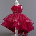 thumbnail image 5 of Delliss Girls Ruffled Sleeveless Glittering Princess Tulle Sundress Tutu Princess Skirt Wedding Party Dresses, 5 of 7