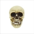 thumbnail image 2 of Mini Skull Decorations - 5 pieces, 2 of 5
