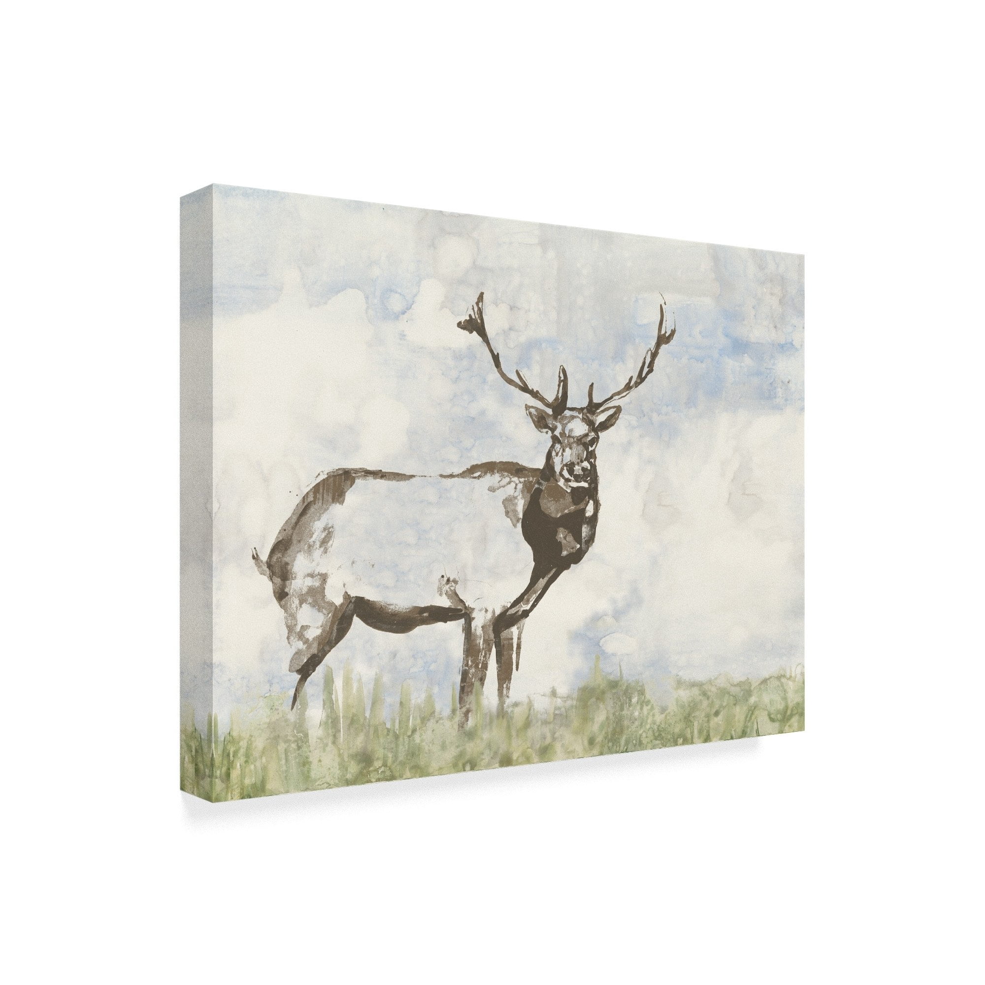 Trademark Fine Art 'Wild Call II' Canvas Art by Jennifer Goldberger
