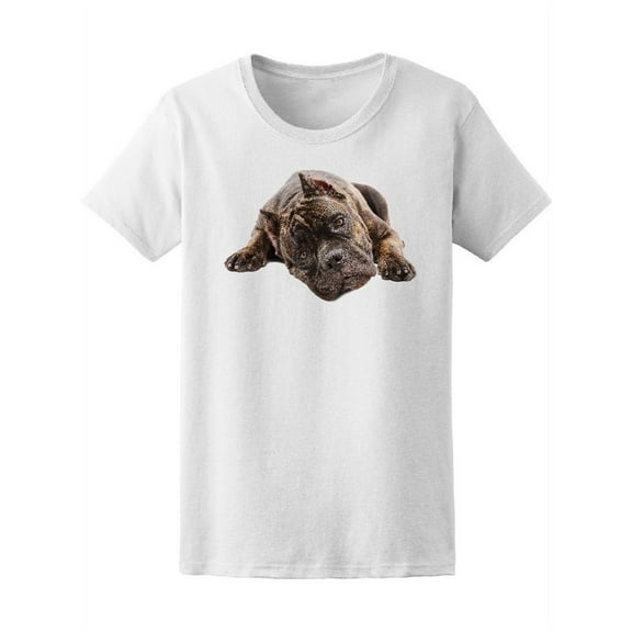 Cute Brown Dog Dreamy T-Shirt Women -Image by Shutterstock, Female XX-Large