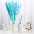 thumbnail image 2 of 15pcs Dried Flowers 17 inch Natural Dried Pampas Grass Reed Plant with Box Real Flowers Romantic Wedding Flower Bulrush Bouquets Flavorful Durable for DIY Home Decor Matching Photography (Blue), 2 of 14