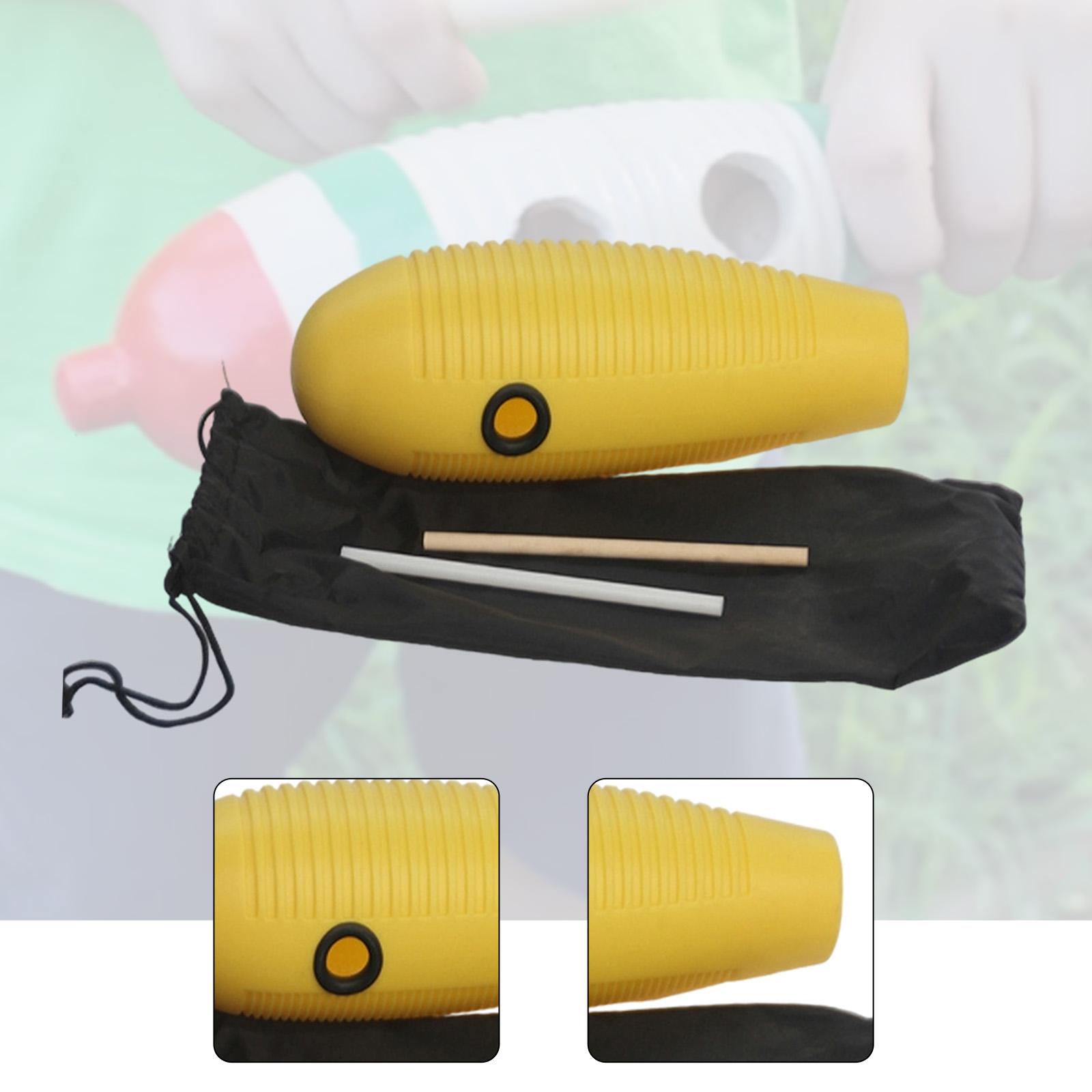 Fish Guiro Shaker Instrument Educational Tool Durable Plastic Develops Rhythm for Kindergarten and Family Use