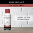 thumbnail image 2 of Magnolia Home by Joanna Gaines Matte Vine Ripened Tomato Sprayable Chalk Paint 12 oz, 2 of 5