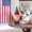 Blue F, variant on Independence Day, Independence Day Gnome Doll Family Event Party Decoration Doll