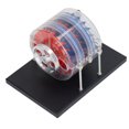 thumbnail image 1 of Turbine Demonstration Model, Practical Steam Turbine Model Firm Structure Durable  For Science Projects, 1 of 8