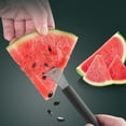 GILIGEGE Tableware Stainless Steel Watermelon Eating Utensil Fruit Seed