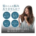 thumbnail image 3 of Cepillo para el cabello Phiten Daily Care con Metax, cabezal grande, 3 of 6